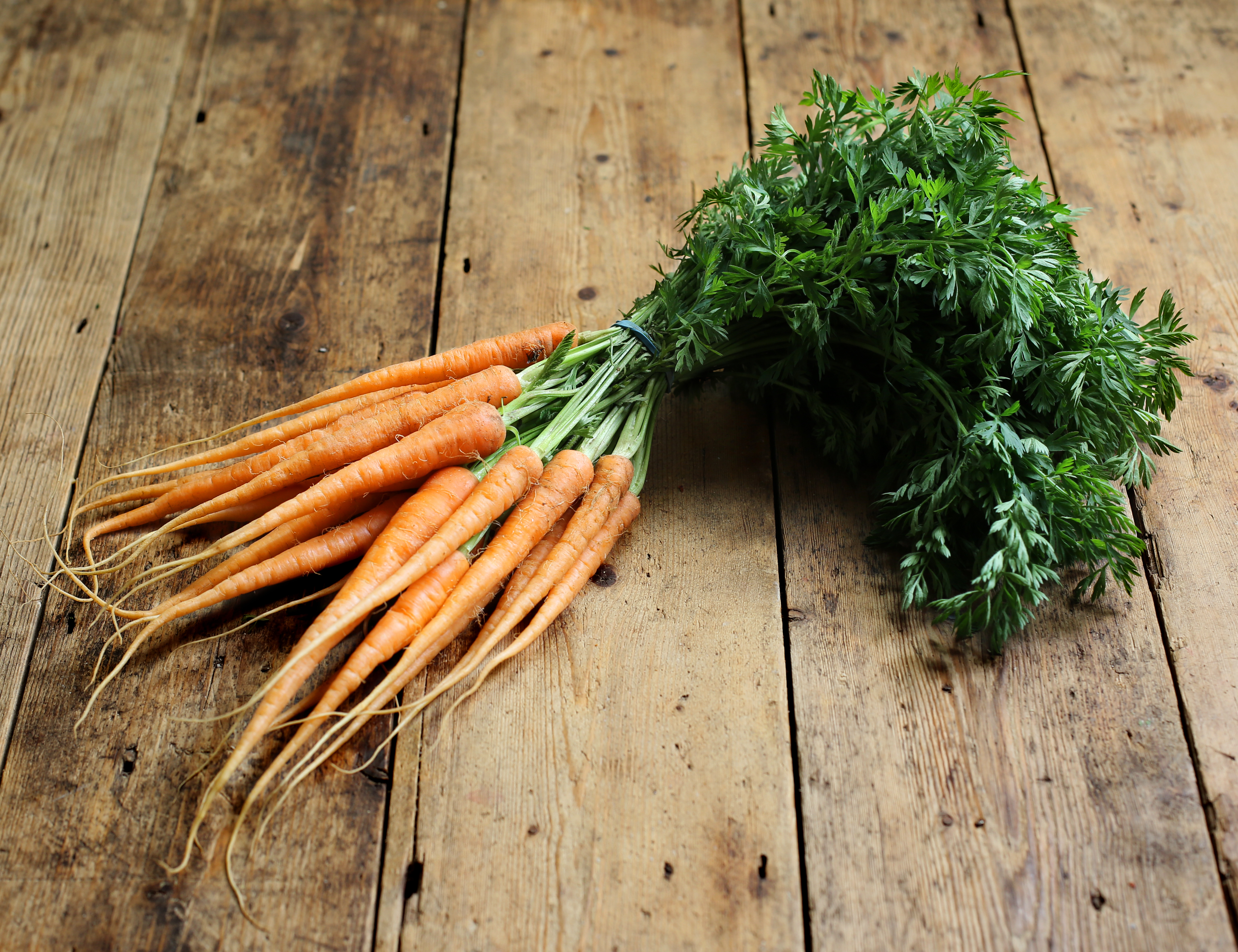 Bunched orange Carrots​